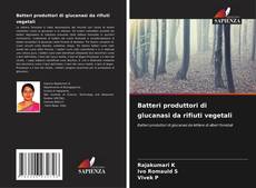 Capa do livro de Batteri produttori di glucanasi da rifiuti vegetali 