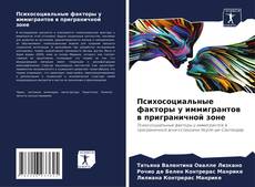 Bookcover of Психосоциальные факторы у иммигрантов в приграничной зоне