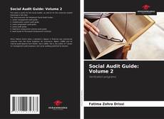 Social Audit Guide: Volume 2 kitap kapağı