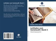 Leitfaden zum Sozialaudit: Band 2 kitap kapağı