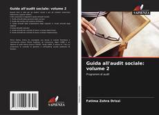 Bookcover of Guida all'audit sociale: volume 2