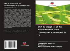 Portada del libro de Effet du phosphore et des micronutriments sur la croissance et le rendement du riz