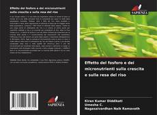 Buchcover von Effetto del fosforo e dei micronutrienti sulla crescita e sulla resa del riso