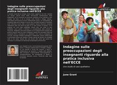 Bookcover of Indagine sulle preoccupazioni degli insegnanti riguardo alla pratica inclusiva nell'ECCE