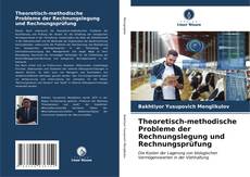 Portada del libro de Theoretisch-methodische Probleme der Rechnungslegung und Rechnungsprüfung