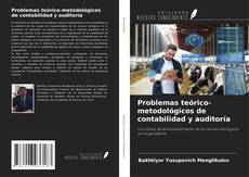 Problemas teórico-metodológicos de contabilidad y auditoría的封面