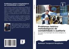 Portada del libro de Problemas teórico-metodológicos de contabilidade e auditoria