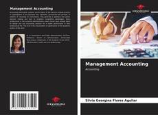 Management Accounting kitap kapağı