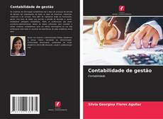 Contabilidade de gestão的封面