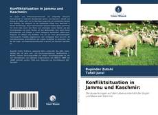 Konfliktsituation in Jammu und Kaschmir: kitap kapağı