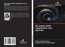 Bookcover of Gli organi delle cooperative non agricole
