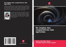 Buchcover von Os órgãos das cooperativas não agrícolas