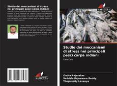 Bookcover of Studio dei meccanismi di stress nei principali pesci carpa indiani