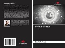 Corpus Caecus kitap kapağı