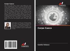 Corpo Caeco kitap kapağı