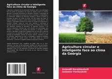 Buchcover von Agricultura circular e inteligente face ao clima da Geórgia