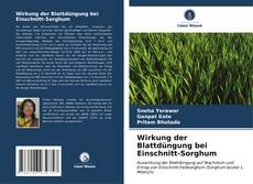 Capa do livro de Wirkung der Blattdüngung bei Einschnitt-Sorghum 