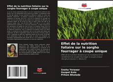 Bookcover of Effet de la nutrition foliaire sur le sorgho fourrager à coupe unique