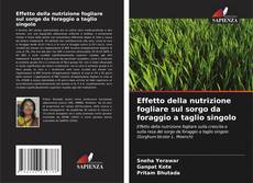 Bookcover of Effetto della nutrizione fogliare sul sorgo da foraggio a taglio singolo