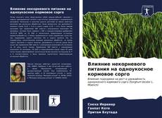 Buchcover von Влияние некорневого питания на одноукосное кормовое сорго