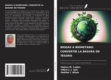 Capa do livro de BIOGÁS A BIOMETANO: CONVERTIR LA BASURA EN TESORO 