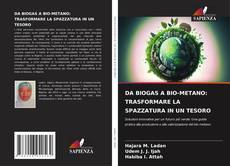 Bookcover of DA BIOGAS A BIO-METANO: TRASFORMARE LA SPAZZATURA IN UN TESORO