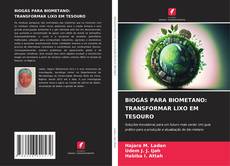 Capa do livro de BIOGÁS PARA BIOMETANO: TRANSFORMAR LIXO EM TESOURO 