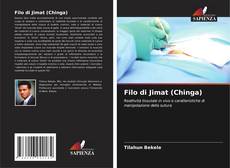 Buchcover von Filo di Jimat (Chinga)