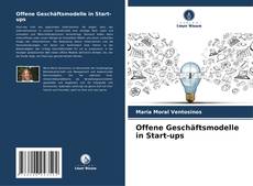 Offene Geschäftsmodelle in Start-ups kitap kapağı