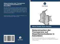 Portada del libro de Determinanten der Transparenz auf Departementsebene in Kolumbien