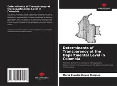 Copertina di Determinants of Transparency at the Departmental Level in Colombia