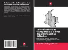 Portada del libro de Determinantes da transparência a nível departamental na Colômbia