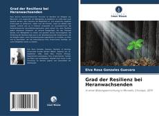 Buchcover von Grad der Resilienz bei Heranwachsenden