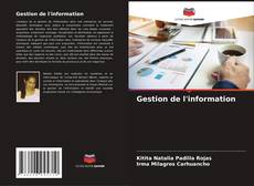 Buchcover von Gestion de l'information