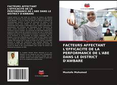 FACTEURS AFFECTANT L'EFFICACITE DE LA PERFORMANCE DE L'ABE DANS LE DISTRICT D'AWBARE的封面