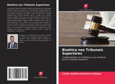 Bioética nos Tribunais Superiores的封面