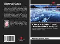 Bookcover of CASANDRA EFFECT: Arctic "methane bomb" analysis