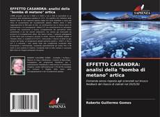 Обложка EFFETTO CASANDRA: analisi della "bomba di metano" artica