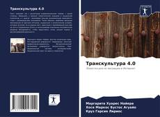 Bookcover of Транскультура 4.0