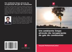 Capa do livro de Um ambiente limpo através da recuperação de gás de combustão 