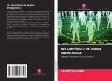 UM COMPÊNDIO DE TEORIA SOCIOLÓGICA:的封面
