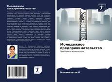 Capa do livro de Молодежное предпринимательство 