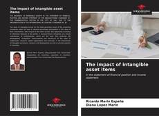 The impact of intangible asset items kitap kapağı