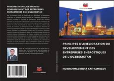 Bookcover of PRINCIPES D'AMELIORATION DU DEVELOPPEMENT DES ENTREPRISES ENERGETIQUES DE L'OUZBEKISTAN