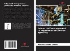 Labour self-management in Argentina's recovered factories kitap kapağı