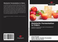 Buchcover von Malolactic Fermentation in Ciders