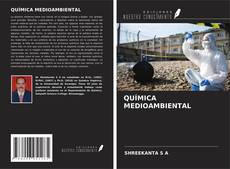 Buchcover von QUÍMICA MEDIOAMBIENTAL