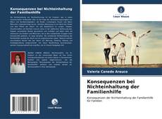 Capa do livro de Konsequenzen bei Nichteinhaltung der Familienhilfe 