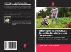 Borítókép a  Estratégias reprodutivas das unidades domésticas camponesas - hoz