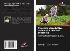 Bookcover of Strategie riproduttive delle unità familiari contadine